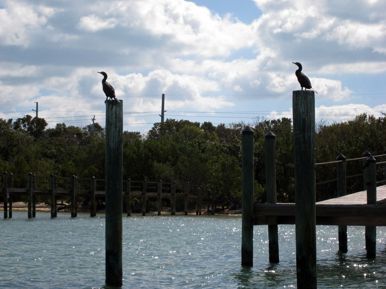 IMG_0164_small.jpg - Key Largo