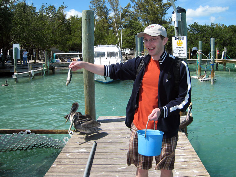 IMG_0178_small.jpg - Feeding tarpons and pelicans