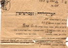 Plungian birth certificate of Gita Pelc issued 1925