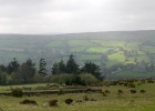 Road to Widdecombe in the Moor